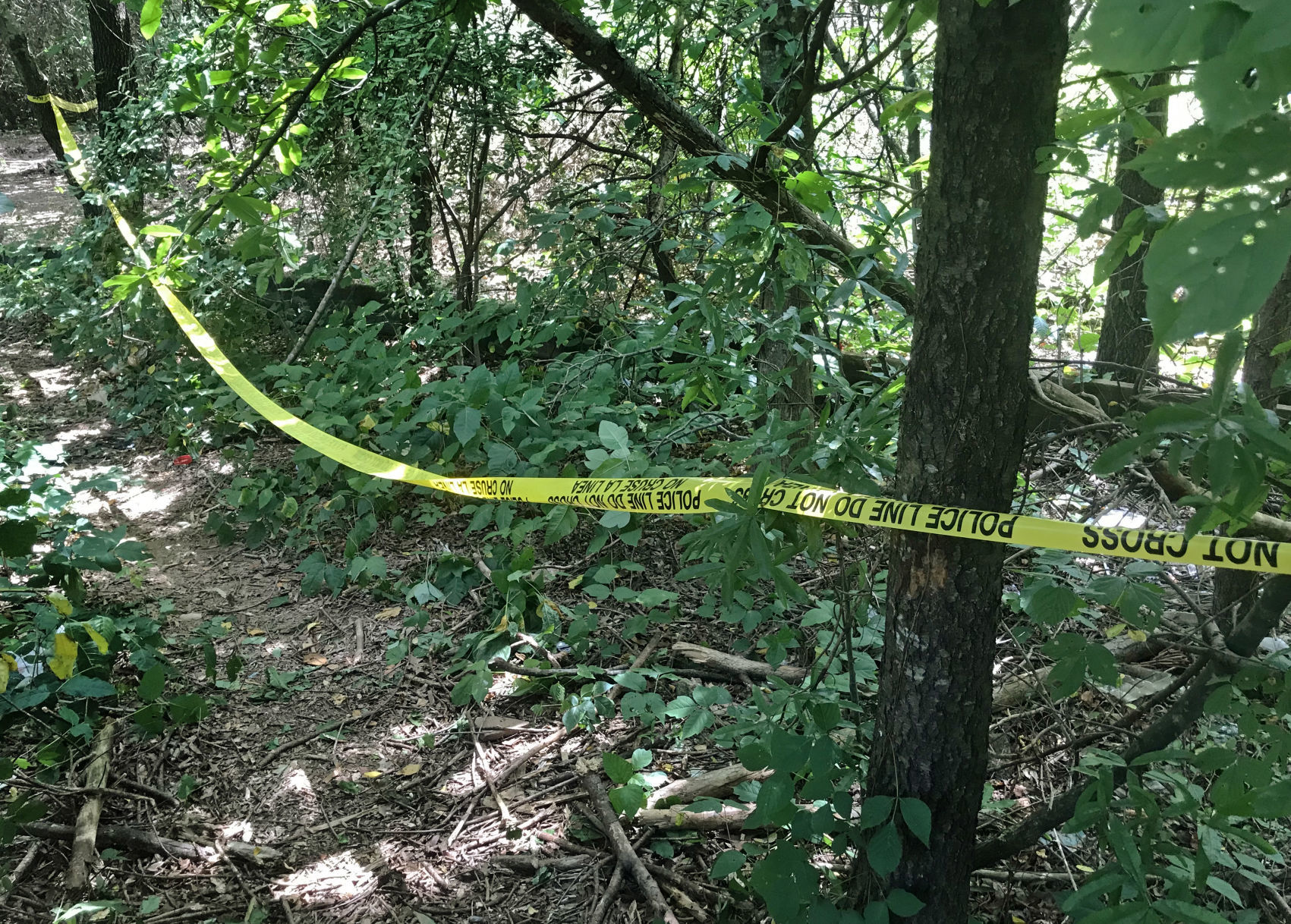 Eneas Rojas body found